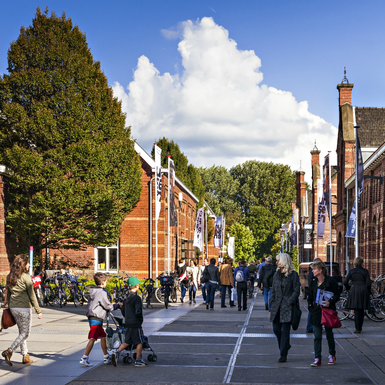Wonen in de Houthaven